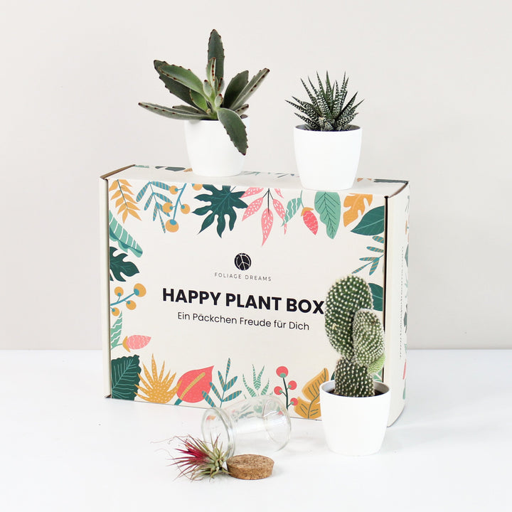 Happy Plant Box - Easy Care - Geschenk Foliage Dreams