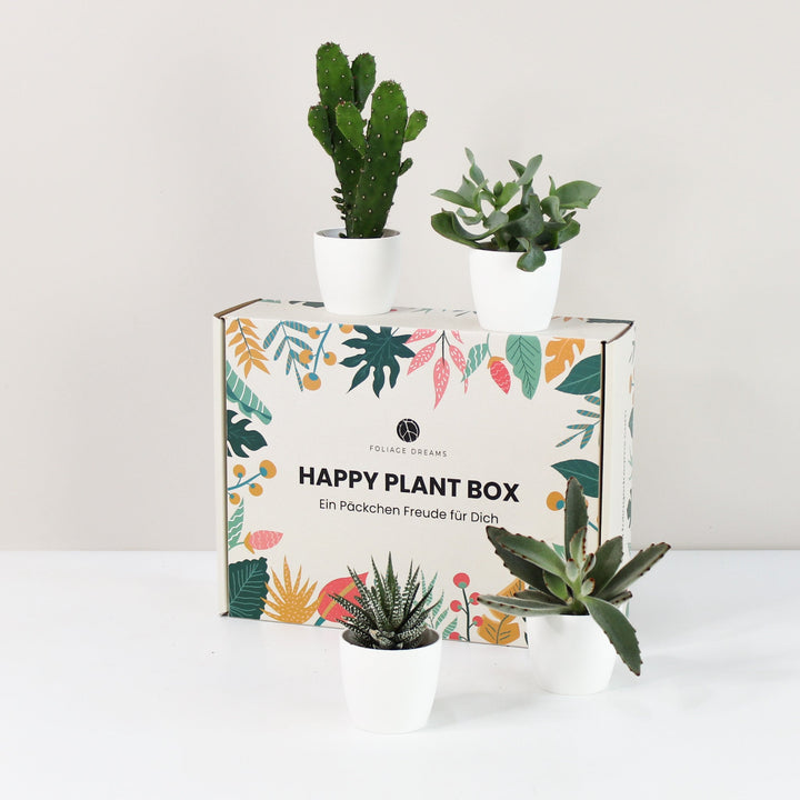 Happy Plant Box - Easy Care - Geschenk Foliage Dreams