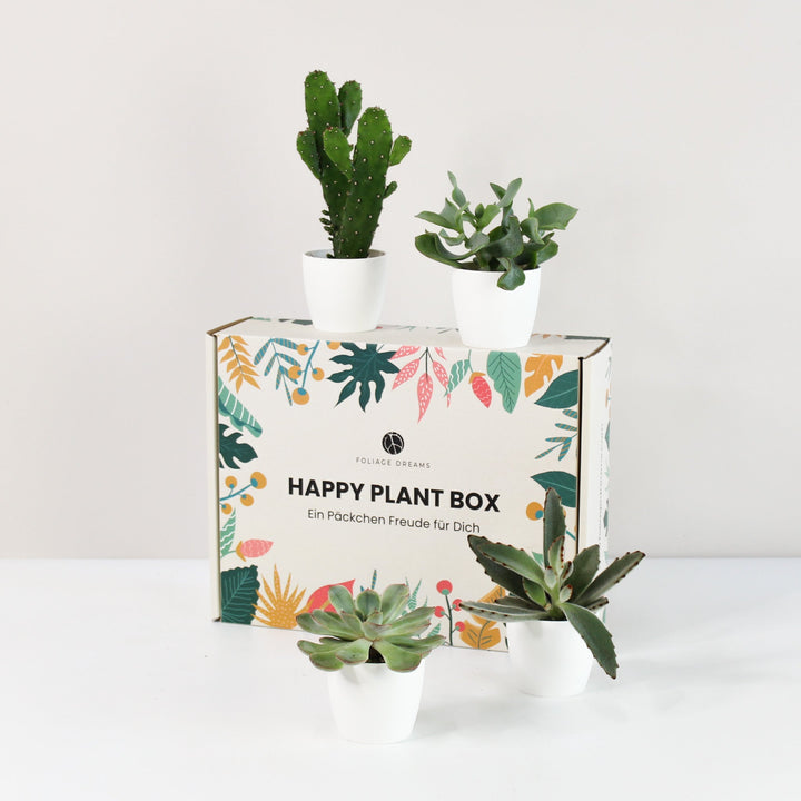 Happy Plant Box - Easy Care - Geschenk Foliage Dreams