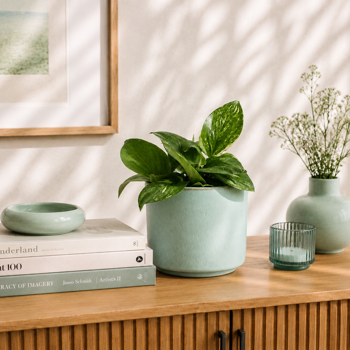Übertopf Calma – Mint | Premium Shine Glaze Foliage Dreams